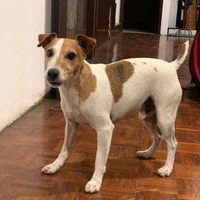 rabo08's profile picture. 