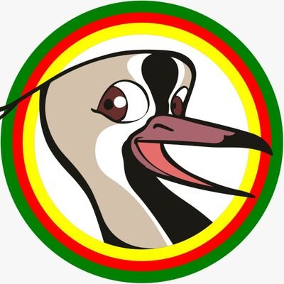 Guarani Organizadora de Gincanas 🏹
E-mail: guaraniorganizadora@gmail.com