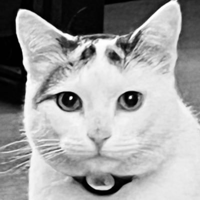 beach__roy's profile picture. boy