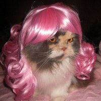 패왕별희 (@ahadaelea) 's Twitter Profile