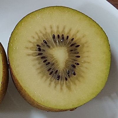 apple___uni's profile picture. 九大工 Quaver2nd