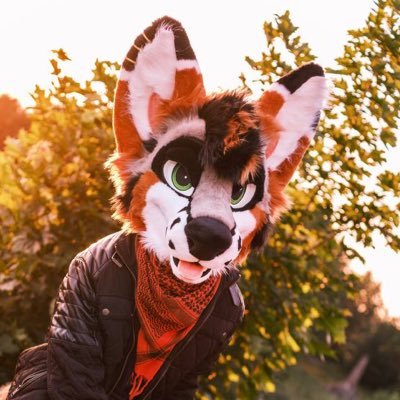 @ThatGreyFox