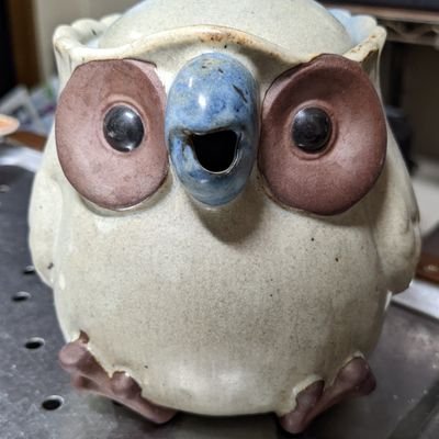 Ho_HoFukufuku's profile picture. フクロウのティーポットです🦉🫖
