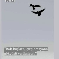 Asiye ksu 🇹🇷 (@neyeniden) 's Twitter Profile Photo Asiye ksu 🇹🇷 (@neyeniden) 's Twitter Profile Photo
