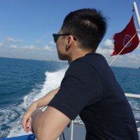 Juncheng Liu (@junchengliu3) 's Twitter Profile