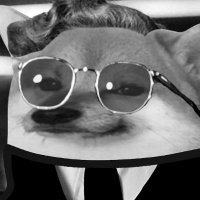 debaser (@resabed) 's Twitter Profile