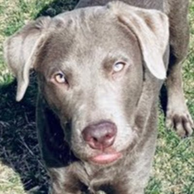Thisisnicole19's profile picture. 