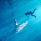 ريان العود (@aydhrayan) Twitter profile photo