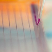 Institute for Human Genetics at UCSF (@ihg_at_ucsf) 's Twitter Profile Photo Institute for Human Genetics at UCSF (@ihg_at_ucsf) 's Twitter Profile Photo