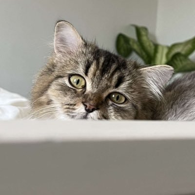 nnah_31's profile picture. physiotherapist ومآرب اخرى ..