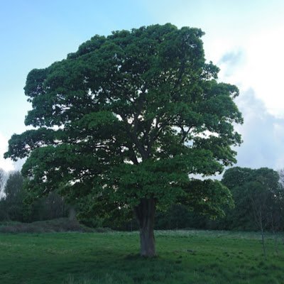 RomanczukPawe's profile picture. 