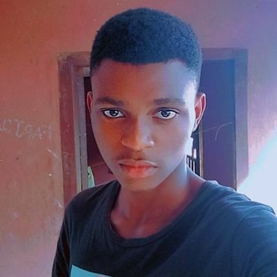 _francisgregory's profile picture. Web/Software Developer   |||    I build web & soft systems for established brands and startups.  Portfolio:👇🏾