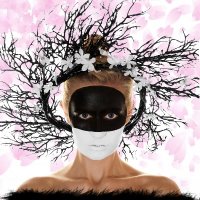 Alchemist Imaging (@alchemistimagi1) 's Twitter Profile