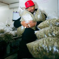 Juelz Santana (@thejuelzsantana) 's Twitter Profile