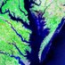 The Chesapeake Bay (@thechesbay) Twitter profile photo The Chesapeake Bay (@thechesbay) Twitter profile photo