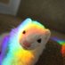 Ferret Every Hour (@FerretPerHour) Twitter profile photo