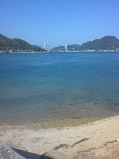 sakanakanakos's profile picture. オリックスファンです。パリーグファンです。プロ野球ファンです。野球ファンです。