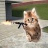 ZoraTheHec's profile picture. gao gao