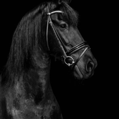 saadmoh26857220's profile picture. العقل حصاد فهمك وقناعاتك بالحياة .