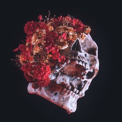 AlanVil95795969's profile picture. Bruo