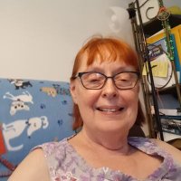 katie45dblue (@katievoteblue) 's Twitter Profile