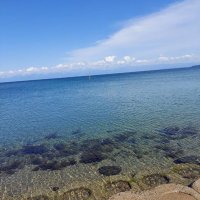 CHOU (@chou202207) 's Twitter Profile