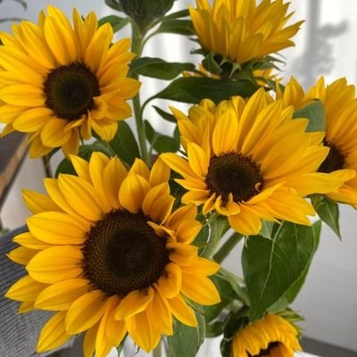 yskimcr's profile picture. I am a person who studies Web3.0.