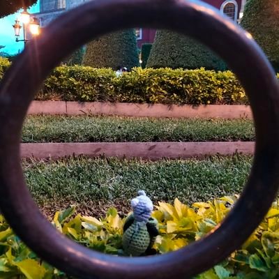 coloradoita's profile picture. 