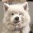 ppaka_tl's profile image