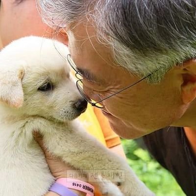 문재인 대통령님은 제가 존경하는 유일한 대통령님ㅎㅎ 경제가 어려울땐 경제를 살릴 이재명을ㅎㅎ