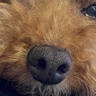 more2_lit_club's profile picture. 「いつまでも文芸部をやろう」をコンセプトに、ちょっと変わったテーマで創作短編集を発行しているサークルです。毎回テーマを変えて、テーマから着想を得た小説を寄稿者一同執筆しています。お問い合わせはDMもしくは主宰まで→(@no_gohan_nolife)