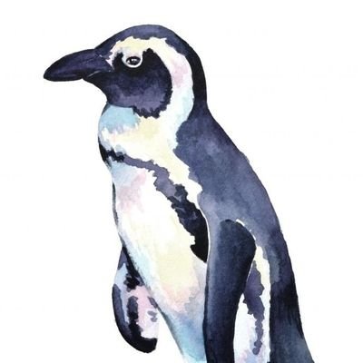 ペンギン好き物書きで翻訳者。ペンギン基金の🐧おばさんです。