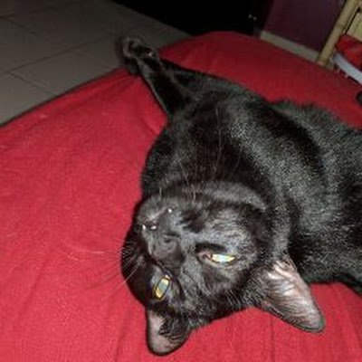 Demoania626's profile picture. 