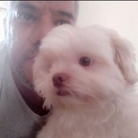 Antônio Passos(@ToninhoPassos) 's Twitter Profileg