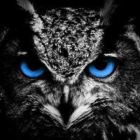 HondoFootball (@footballhondo) 's Twitter Profile Photo HondoFootball (@footballhondo) 's Twitter Profile Photo