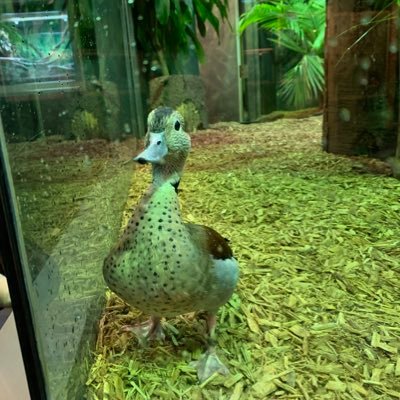 Arno_I1's profile picture. 