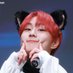 ara' (@foxiestt) Twitter profile photo ara' (@foxiestt) Twitter profile photo