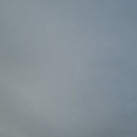 ..... (@tomperk07694553) 's Twitter Profile