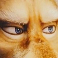 ゆう☆きゃん♂ (@tak178gy) 's Twitter Profile Photo