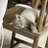 Simple93662647's profile image