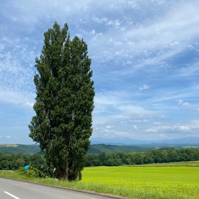 初心者スリムや筋肉質を目隠し全身拘束して、性感帯を支配しドライ地獄に堕とします。①経験浅いM男、②S女に恵まれないノンケ、③調教に参加したいS男女はdmを！調教開発道具ホテル出張複数の費用全て無料でされたいなら目隠し撮影投稿協力費と相殺すればOK。避難垢@Cis20011117