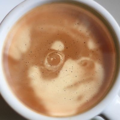 チワワの智大(ちぃた)でちゅ。^ェ^ 2021.12.16生まれの♂でちゅ。2022.3.26 🏡 中の人は:まこシャーク🦈 55歳のオッサンです。通称 まこ様 🌈組:大河兄ちゃん 空河兄ちゃん ▶▶▶ 空河 垢 @remakoshark