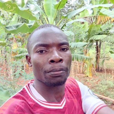 Steveodu11's profile picture. 