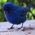 Indigo AI (@indigoai5) Twitter profile photo Indigo AI (@indigoai5) Twitter profile photo