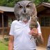 🦉 (@amts_eule) Twitter profile photo 🦉 (@amts_eule) Twitter profile photo