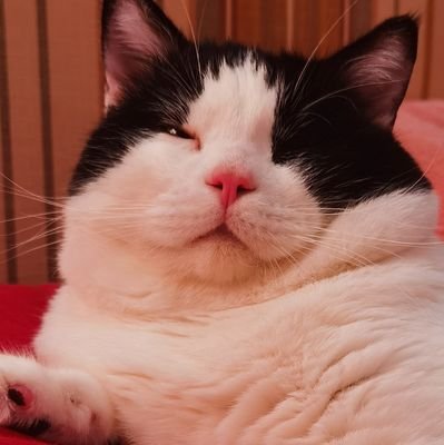 UGAqrUG8r2iQndR's profile picture. 20+/什么都发什么都来一口😇😇