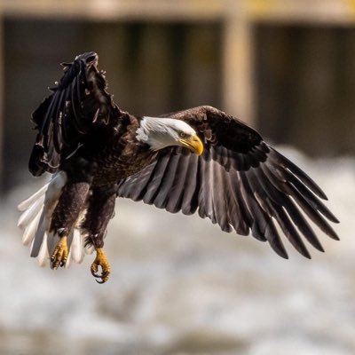 KevinFreer7's profile picture. I'm a photographer. I've been doing mostly auto racing but I enjoy doing all types of photography. I’M NOT HERE LOOKING FOR A DATE!!!