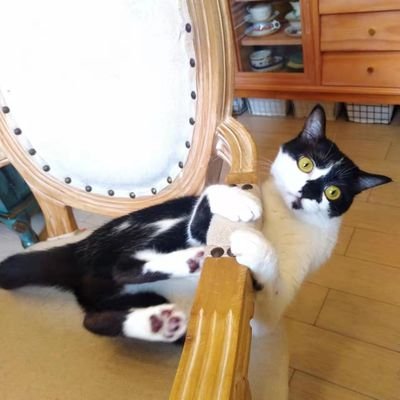 chaowei60's profile picture. (ノ๑`ȏ´๑)ノ︵⌨