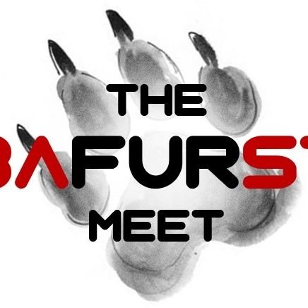 #BaFURstMeet2024