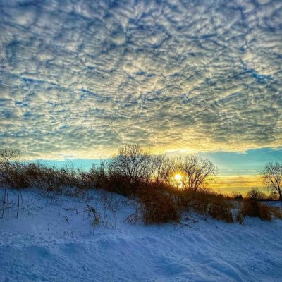 Mpl3a609JGU2PwH's profile picture. 爱自由